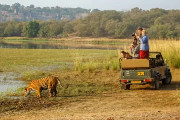 Golden triangle tour with Ranthambore
